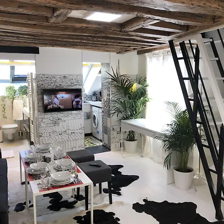 Les Patios Du Marais 1 Appartement Parijs