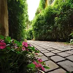 Les Patios Du Marais 1 Lägenhet *