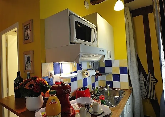 Les Patios Du Marais 1